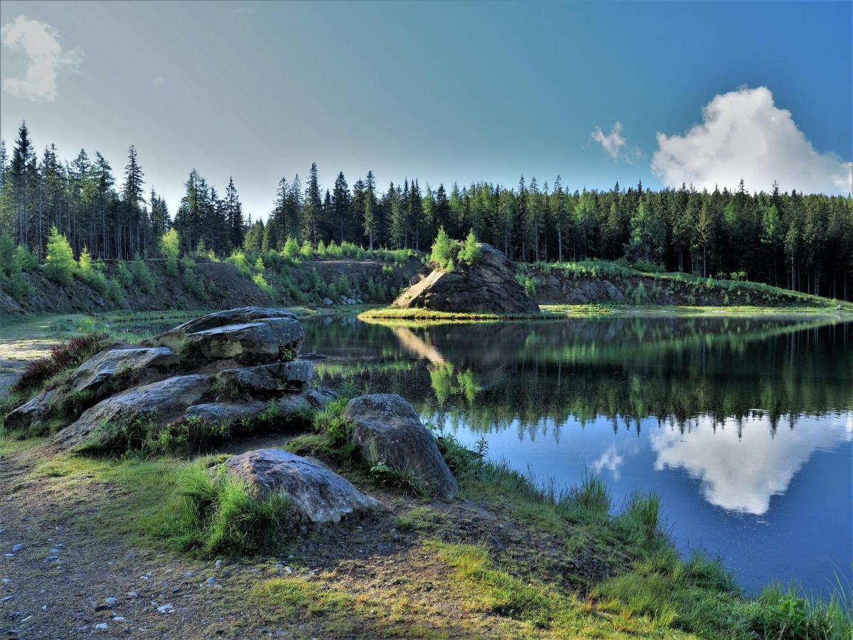 Naturforsthaus Ferienwohnung Fuer Hunde- Und Tierverbundene Menschen Preitenegg Екстериор снимка