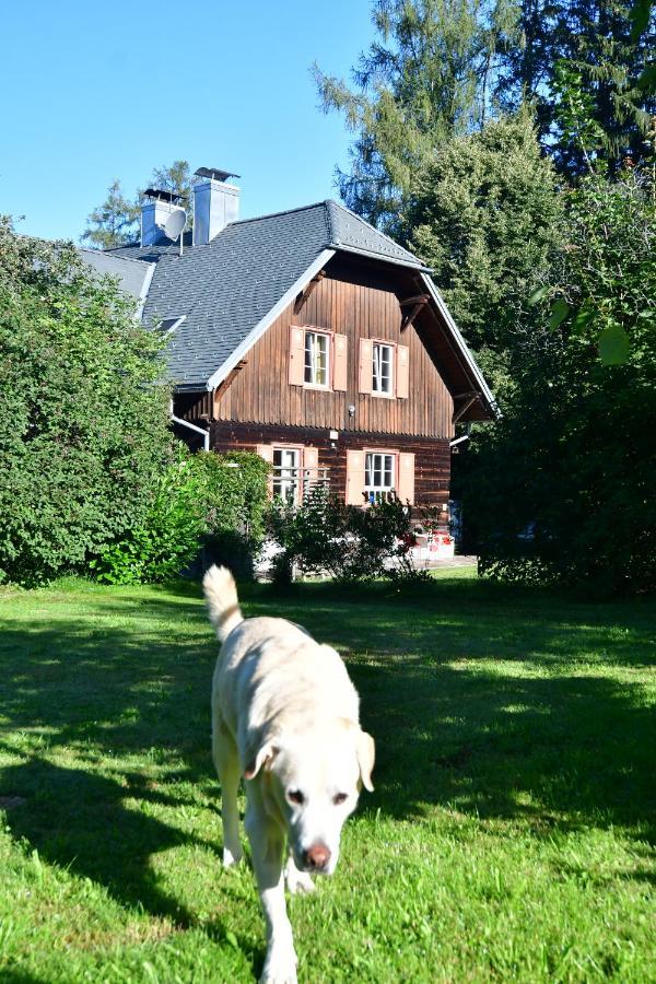 Naturforsthaus Ferienwohnung Fuer Hunde- Und Tierverbundene Menschen Preitenegg Екстериор снимка